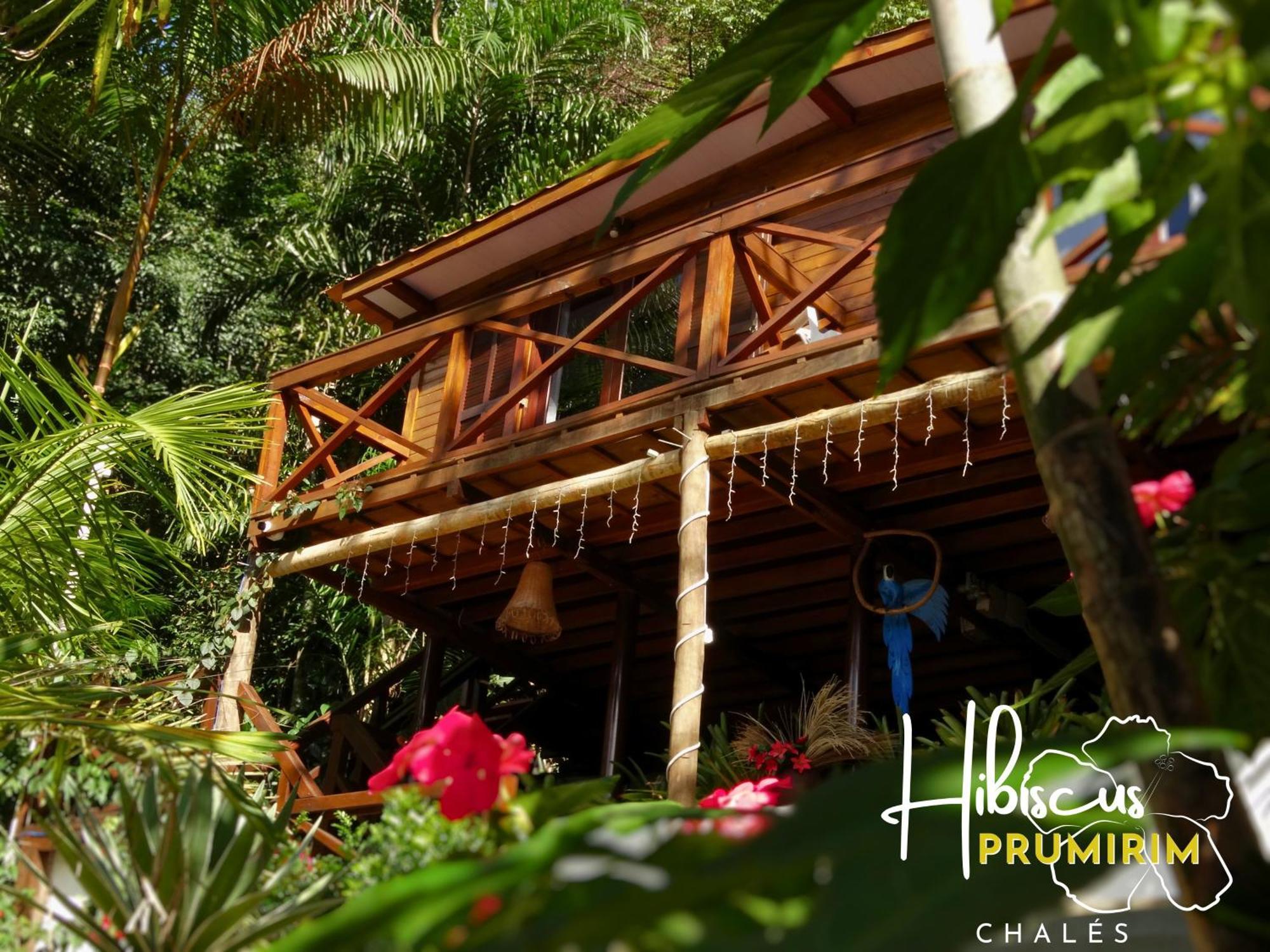 Hibiscus Prumirim Chales Ubatuba Exterior foto
